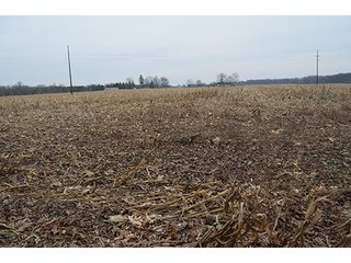 Property photo 5 - LAND AUCTION, 77 Acres offered in 3 Tracts